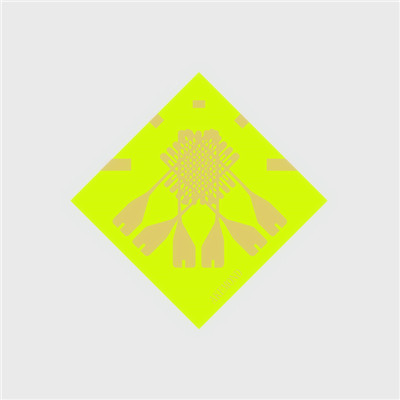 應變計TSK-1C-120-3A-11L1M2S原裝正品