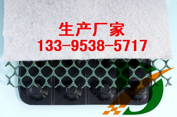 蓄水板