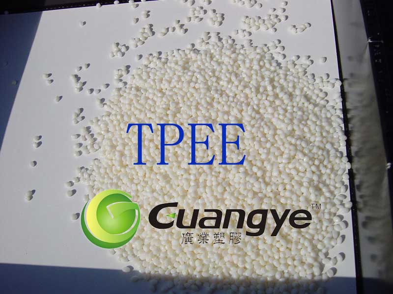 TPEE 臺(tái)灣長(zhǎng)春 63D