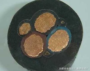 500V橡套電纜ycw3*16+2*6多少錢(qián)