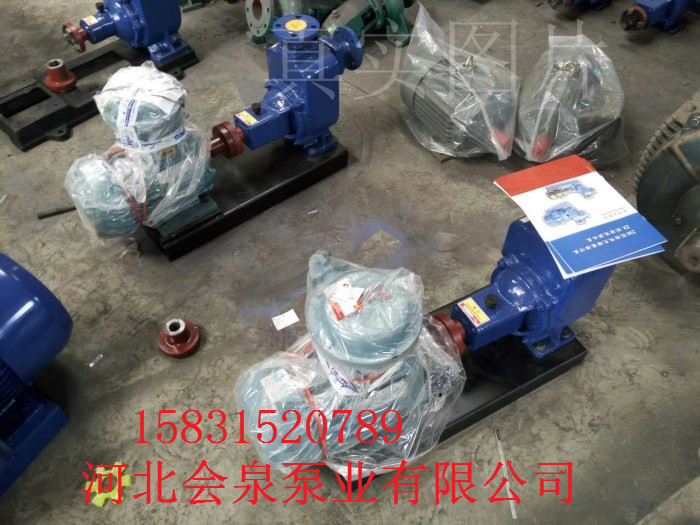 ZW自吸泵ZW150-200-20(熱電廠)
