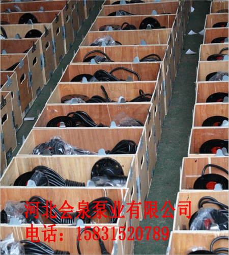 熱水潛污泵“污水處理廠”50JYWQ25-32-5.5