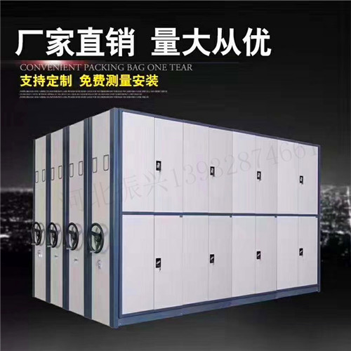 蒼南縣油畫(huà)密集架河北廠家