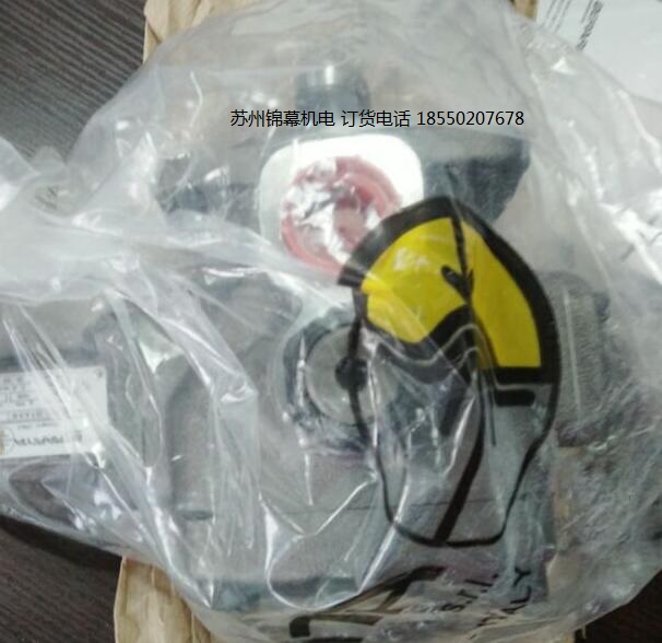 02-PVS1-20-F-H-R-M意大利BERARMA布萊瑪葉片泵，齒輪泵維修