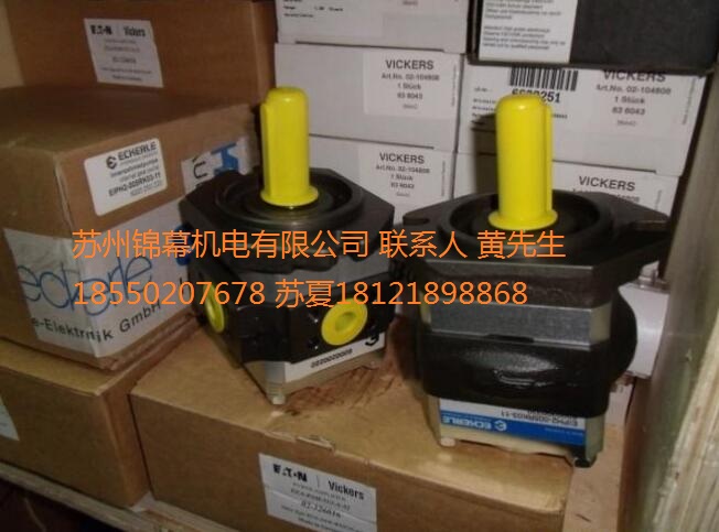 EIPS3-040RK23-1X德國ECKERLE艾可勒齒輪泵，化學(xué)計(jì)量泵