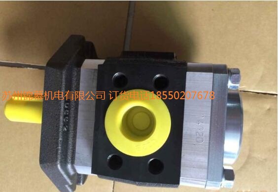 IPVP5-50-101F(xin)؛X݆ VOITH X݆