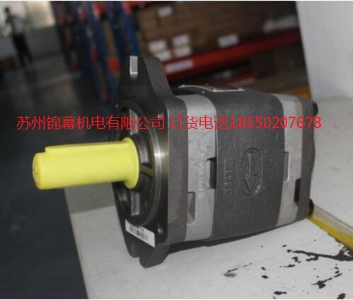 IPVP5-64-111VOITH X݆ y