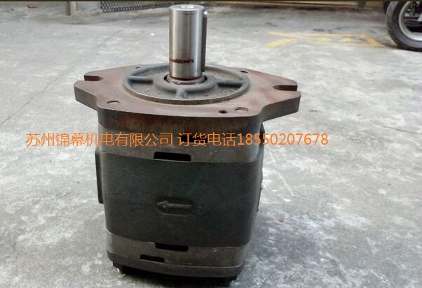 IPVP6-100-101VOITH X݆Sensorsӂ