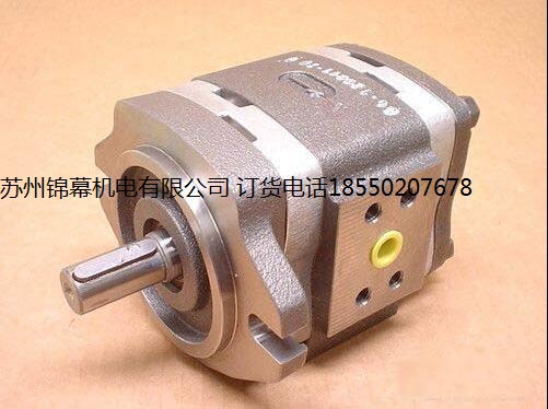 IPVP7-200-111德國(guó)VOITH 福伊特齒輪泵，直動(dòng)式溢流閥