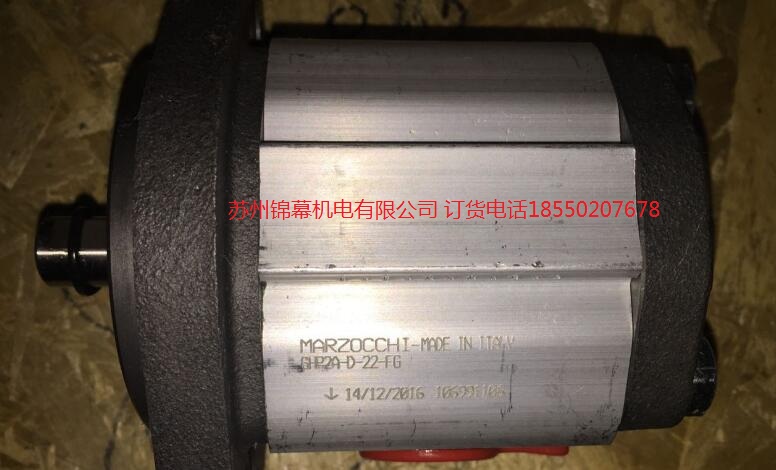 GHP2-D-25ҺyMarzocchiRp(lin)X݆