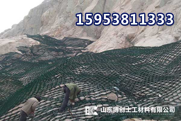 重慶沙坪壩護(hù)坡生態(tài)袋廠家生產(chǎn)價格40x80袋子帶草種