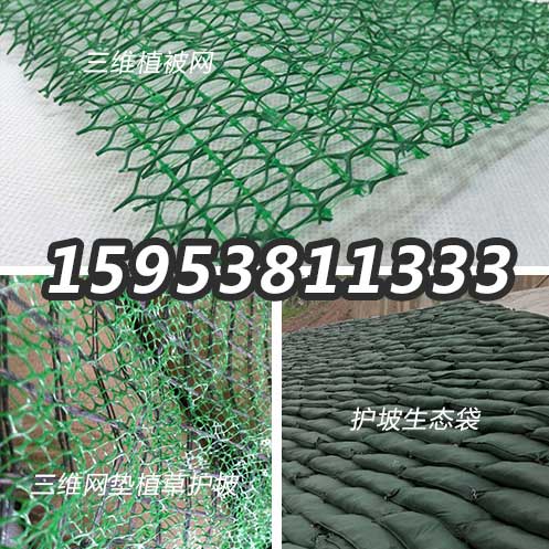 婁底護坡生態(tài)袋廠家生產價格40x80袋子帶草種
