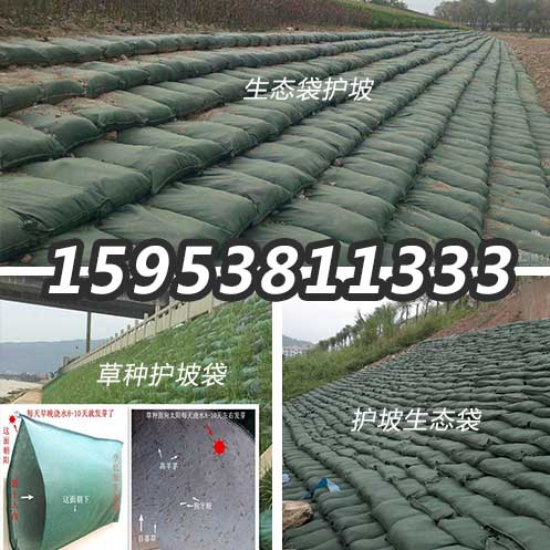漯河護坡生態(tài)袋廠家生產(chǎn)價格40x80袋子帶草種