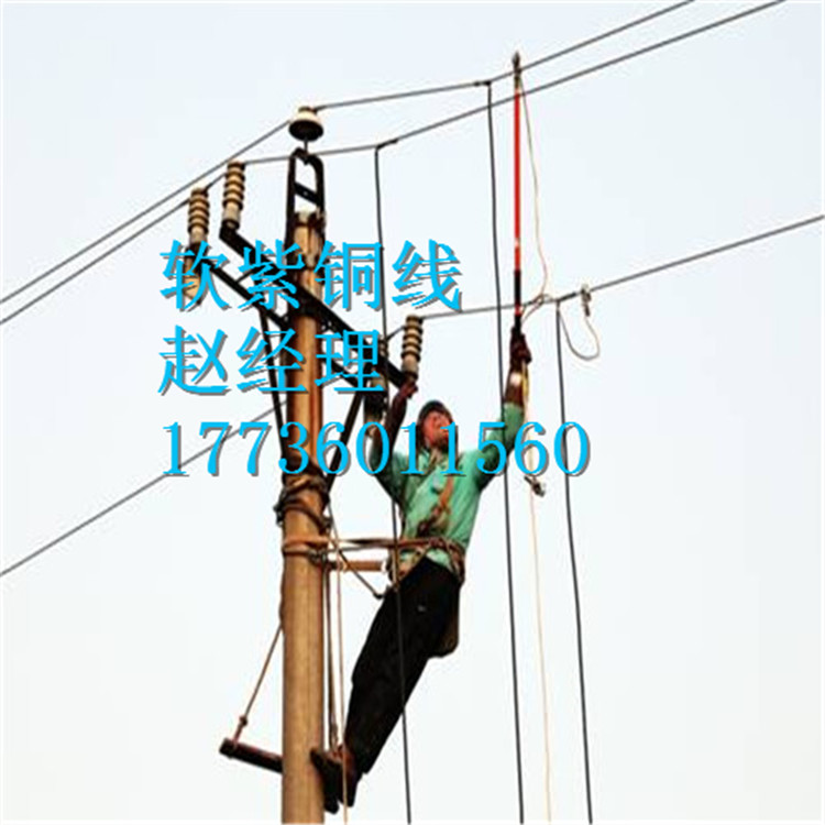 高壓電廠專用接地線/金能短路接地棒+0.4kv電力保安線