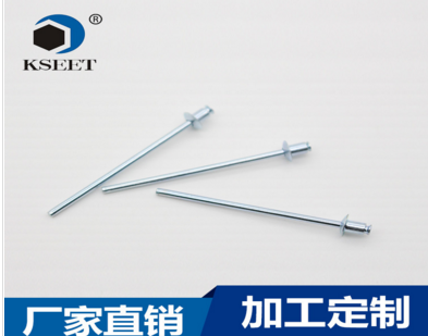 	  珠海凱仕特skk3035pt304不銹鋼沉頭拉釘汽車(chē)專(zhuān)用