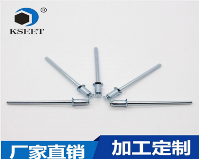 	  skk3055pt珠海凱仕特廠家直銷(xiāo)雙平頭拉釘服務(wù)器專(zhuān)用