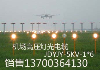 陜西機(jī)場(chǎng)通訊電纜TPYV22國標(biāo)生產(chǎn)，