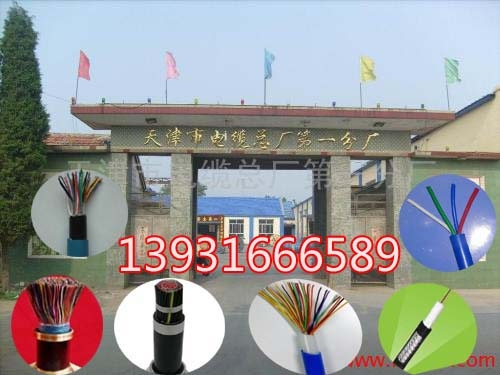 黑龍江阻燃變頻電纜BP-YJVP型號