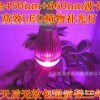 育苗LED植物生長(zhǎng)燈_數(shù)字輸出型傾角傳感器廠家_北京西星光電科技有限公司