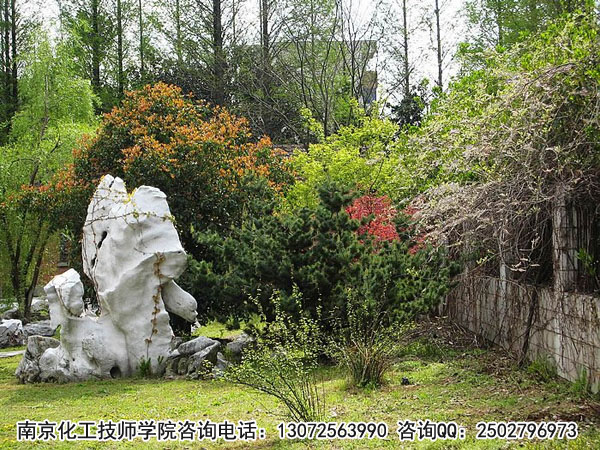 南京化工技師學(xué)院工業(yè)機(jī)器人應(yīng)用與維護(hù)專業(yè)
