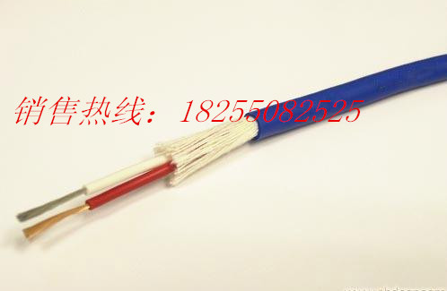 供應NX--GS--VV 4*2*0.5 4*2*1.0補償導線電纜是什么材質(zhì)
