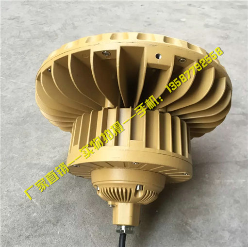 浙江樂清天網(wǎng)防爆供應(yīng) BLED110(BAD84)-60W 防爆免維護(hù)LED燈