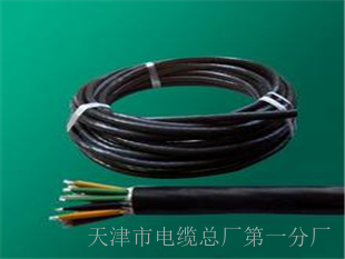 我廠生產(chǎn) 江蘇省 DJYVRP計(jì)算機(jī)電纜 銷(xiāo)售部