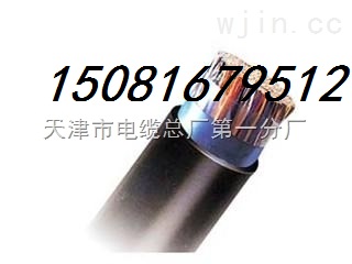 巴彥淖爾NH-BV布電線耐火電纜