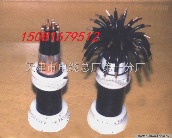 光伏接地線廠家BVR1.5平方純銅線長(zhǎng)20公分