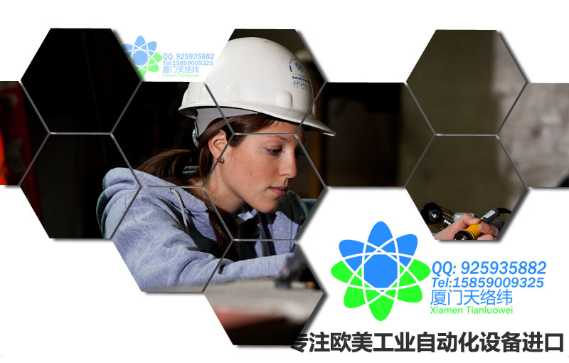 FAULHABER 1331SR廈門天絡(luò)緯現(xiàn)貨替代