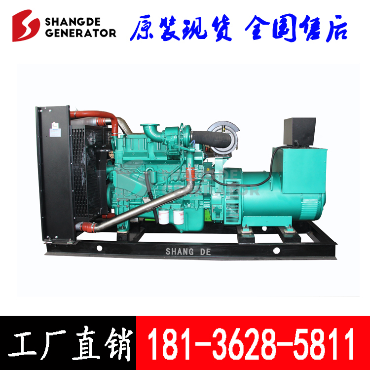 【工廠直銷】250kw玉柴發(fā)電機 玉柴柴油發(fā)電機組YC6MK420L-D20