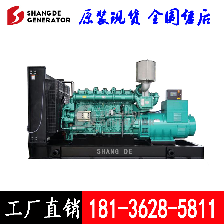1200kw玉柴柴油發(fā)電機(jī)YC12VC2070-D31