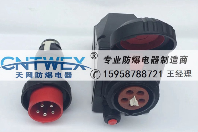 ZXAC5330-63A 100A防爆防腐插接裝置 防爆插接裝置