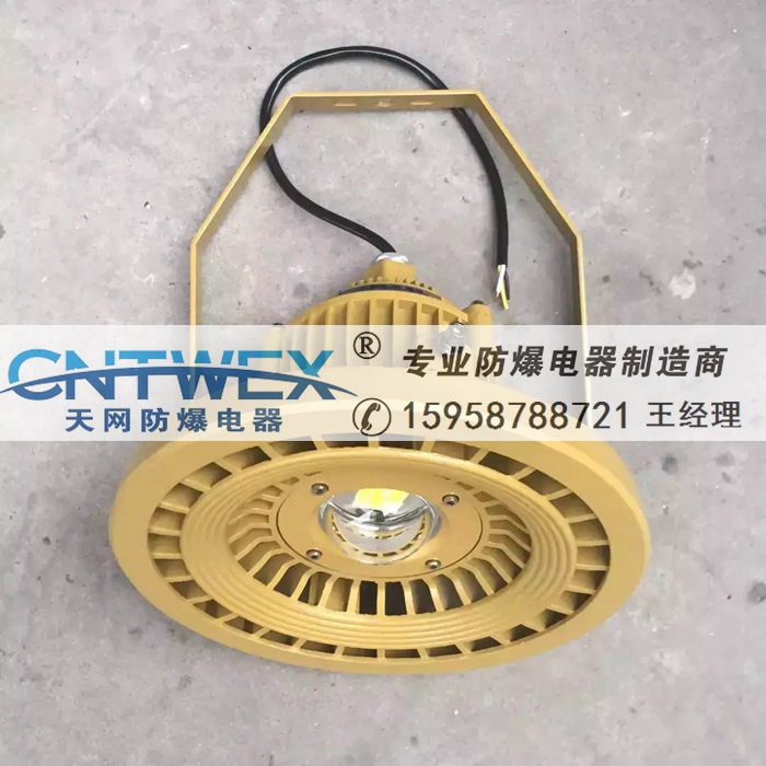 BLD110-80Wled防爆燈免維護(hù)LED防爆燈吸頂式壁式吊桿式