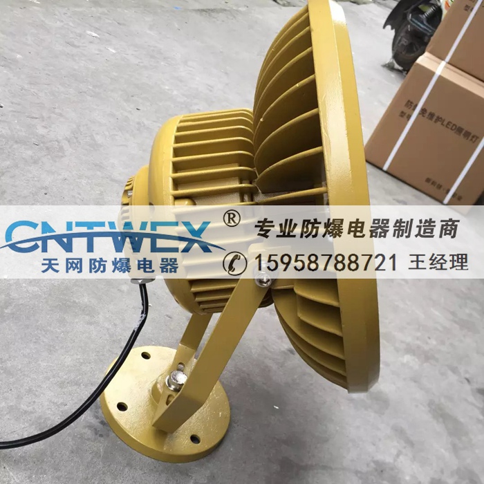 BLD110-120W防爆燈免維護(hù)LED防爆燈吸頂式壁式吊桿式