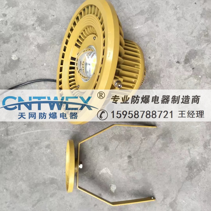 BLD110-90Wled防爆燈免維護LED防爆燈吸頂式壁式吊桿式