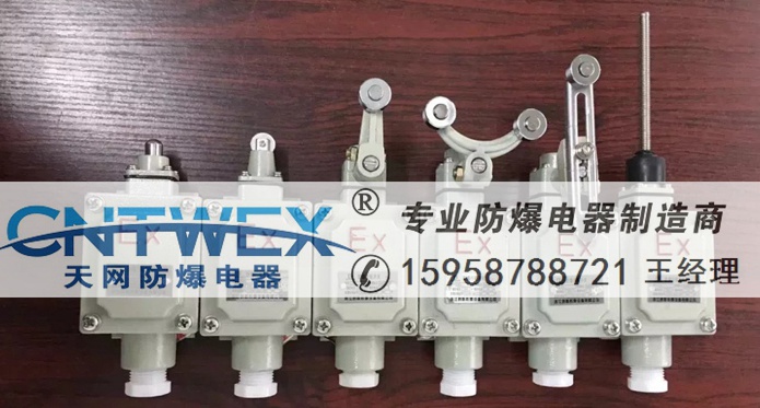 LX5-201D柱塞式防爆行程開(kāi)關(guān) ExdIIBT6