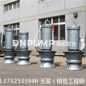 QZB軸流泵_水庫排水用軸流泵_天津
