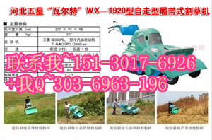 防汛救災(zāi)一線始終有堤壩除草機(jī)的身影//自走式防汛堤壩除草機(jī)