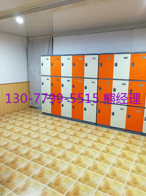 ABS全塑更衣柜