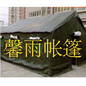 mݎ͸C