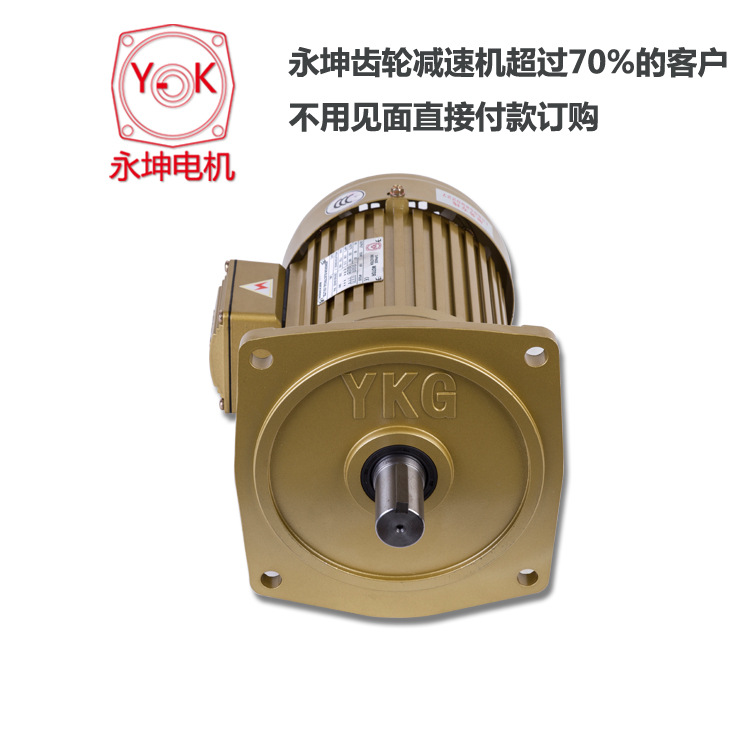 山東永坤標準三相立式馬達，V為立式安裝形式