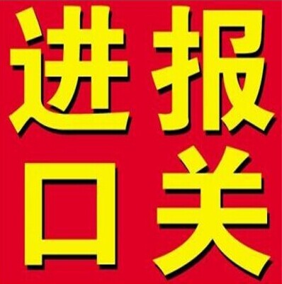 香港進口膠水到上?？爝f公司