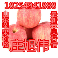 山東蘋果價(jià)格紅富士蘋果行情