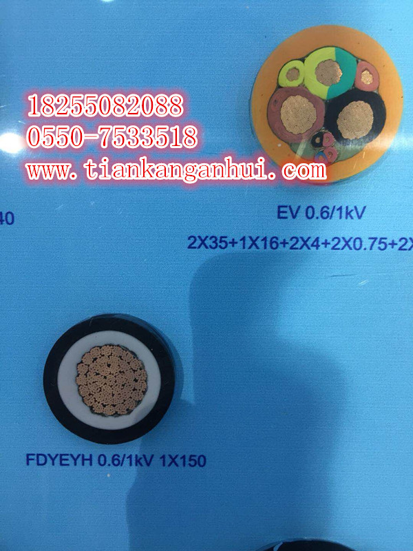 YR，YRP，YRF，YRFP電動(dòng)葫蘆電纜【天康集團(tuán)】