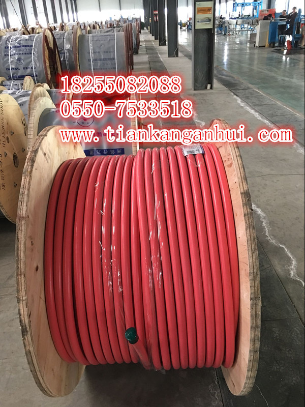 商機(jī)供應(yīng)GG22—3*1.5 3*2.5硅橡膠阻燃電纜-安徽天康集團(tuán)