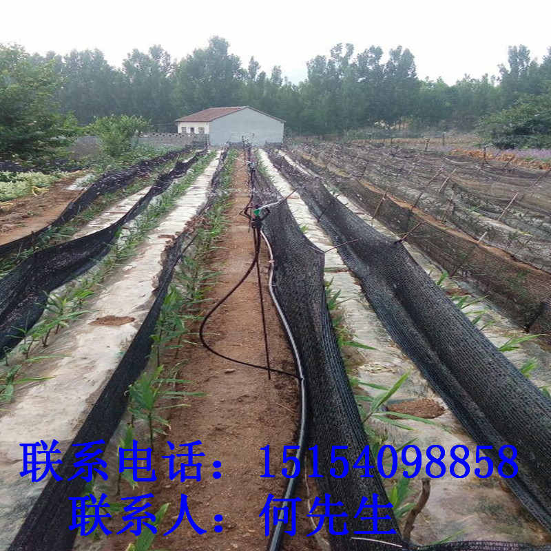 巴音郭楞1寸網(wǎng)式/碟片過濾器@有實體廠家在銷售