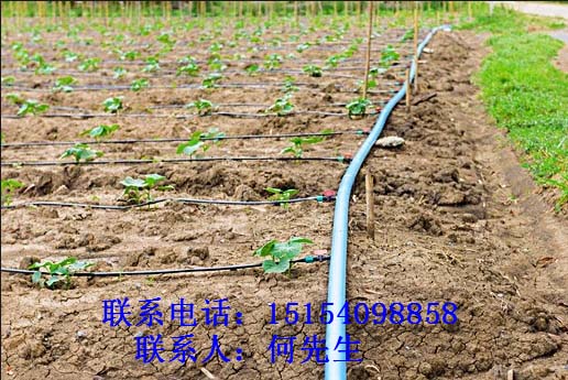 撫州Φ25網(wǎng)式/碟片過濾器%質(zhì)量好，價格便宜？