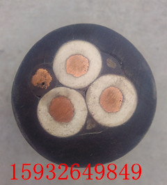 YC-J|YC-JؙC(j)|YCW-J܇|S