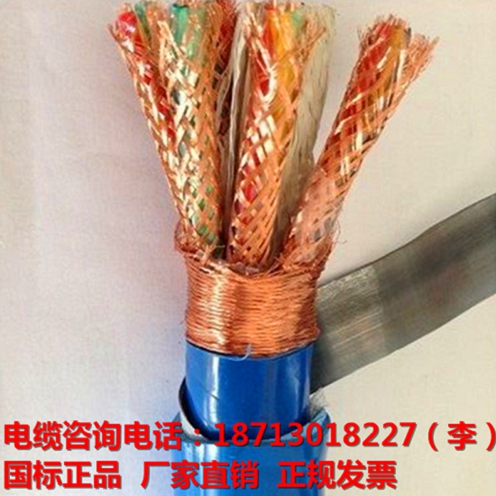WDZN-DJYVP2-10×2×2.5計(jì)算機(jī)電纜廠家直銷